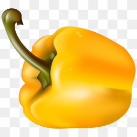Free Vector Vegetables, HD Png Download - capsicum png