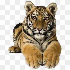 Picsart Tiger Png Hd, Transparent Png - tiger png hd