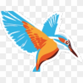 Kingfisher , Png Download, Transparent Png - kingfisher png