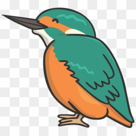 Png Royalty Free Library Hummingbird Clipart Kingfisher - Kingfisher Cartoon, Transparent Png - kingfisher png