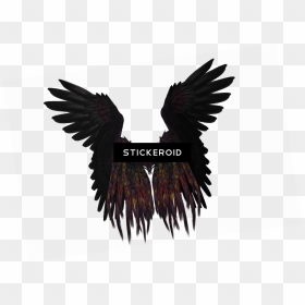 Short Black And Purple Wings - Fly Feather, HD Png Download - alas png