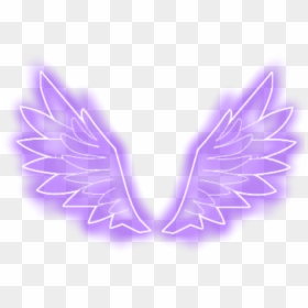 #alas #wings #angelwings #angel #morado #purple #tumblr - Neon Purple Angel Wings, HD Png Download - alas png