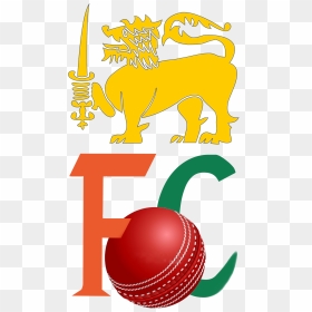Transparent Cricket Image Clipart - Sri Lanka Flag Lion, HD Png Download - cricket clipart png