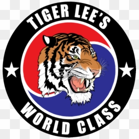 Tiger Lee World Class Tae Kwon Do, HD Png Download - tiger png hd