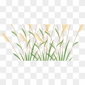 Icon 2 Weeds - Weeds Clipart, HD Png Download - weeds png