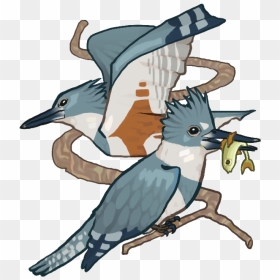 Kingfisher Pop Up Copy - Illustration, HD Png Download - kingfisher png