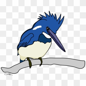 The Belted Kingfisher Keeps Me Company All The While - Fly Fishing, HD Png Download - kingfisher png