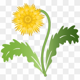 Graphic Dandelion Flower - Dandelion Graphic, HD Png Download - weeds png