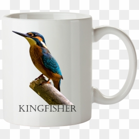Kingfisher Bird Coffee Mug, Personalized With Your - Verse Of The Day January 23 2020, HD Png Download - kingfisher png