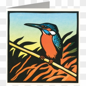 Card Kingfisher, HD Png Download - kingfisher png