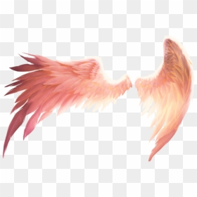 #alas #wings #wing #ala #alado #winged #fantasy #fantasía - Transparent Angel Wings, HD Png Download - alas png