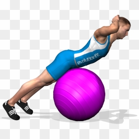 The Exercise Strengthens The Lumbar Area, It Is Fit - Hyperextension Sur Swiss Ball, HD Png Download - gym png