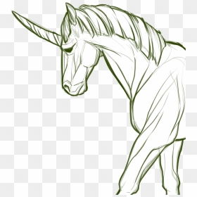 Clipart Unicorn Line Art - Unicorn, HD Png Download - kuda png
