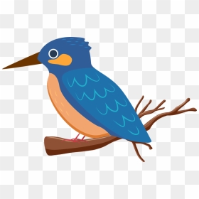 Coraciiformes, HD Png Download - kingfisher png