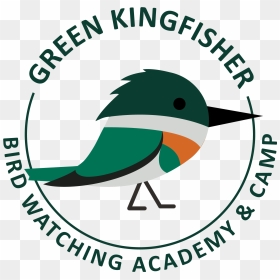 Kingfisher Png, Transparent Png - kingfisher png
