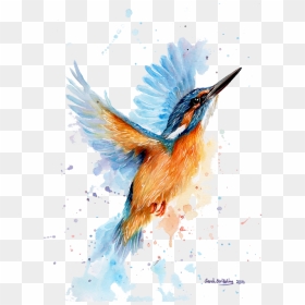 Bleed Area May Not Be Visible - Kingfisher Watercolour, HD Png Download - kingfisher png