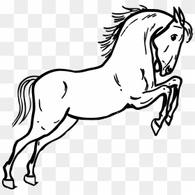 Mustang Horse Coloring Page, HD Png Download - kuda png