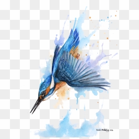 Australian Drawing Kingfisher - Kingfisher Diving Painting, HD Png Download - kingfisher png