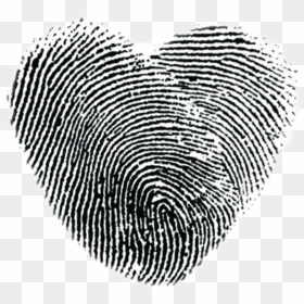 Thumb Print , Png Download - Heart Fingerprint Tattoo, Transparent Png - thumbprint png