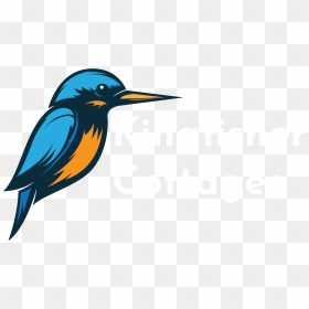 Kingfisher Cottages, HD Png Download - kingfisher png
