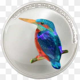 Ruby-throated Hummingbird, HD Png Download - kingfisher png