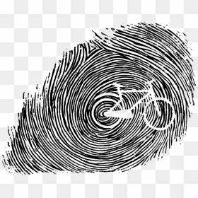 Circle , Png Download - Circle, Transparent Png - thumbprint png