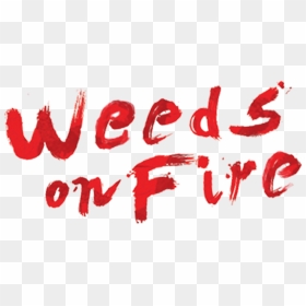 Weeds On Fire - Calligraphy, HD Png Download - weeds png