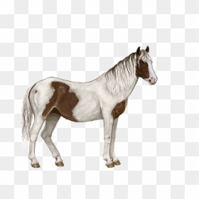 Thumb Image - Horse Pixel, HD Png Download - kuda png