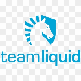 Wizards, Warriors And Magic Buy Esports Franchise Team - Team Liquid Esports Logo, HD Png Download - team mystic png