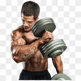 Buy Steroids Online - Gym Workout Images Png, Transparent Png - workout png