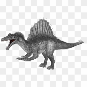 Spinosaurus Download Png Image - Spino Png Ark, Transparent Png - ark survival evolved png