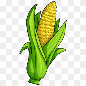 Corn On The Cob Candy Corn Maize Vegetable Clip Art - Single Vegetables And Fruits Clipart, HD Png Download - candy corn png