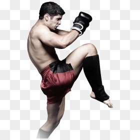 Vector Muay Thai Hd Transparent, HD Png Download - boxing png