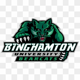 Binghamton University Athletics Logo, HD Png Download - fox shine png