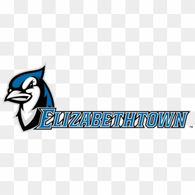 Elizabethtown College, HD Png Download - ncaa logo png