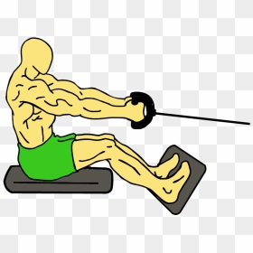 Lats Workout Clipart , Png Download - Seated Rows, Transparent Png - workout png
