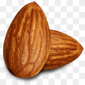 Clipart Almond Png, Transparent Png - almond png