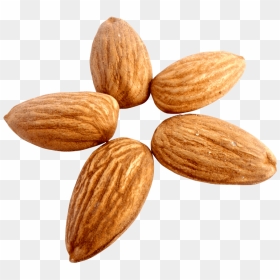 Transparent Almonds Png, Png Download - almond png