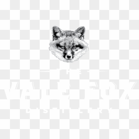 Swift Fox, HD Png Download - fox shine png