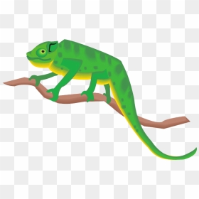 Chameleon Png Clipart - Chameleon Clipart Png, Transparent Png - chameleon png