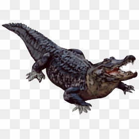 Alligator Transparent Background - Crocodile With Transparent Background, HD Png Download - gator png