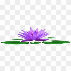 Pond, HD Png Download - water lily png