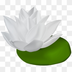 Water Lilies Clip Art, HD Png Download - water lily png