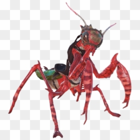 Ant, HD Png Download - ark survival evolved png