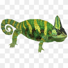 Chameleon Png Picture - Green Iguana Donwloads Zt2, Transparent Png - chameleon png