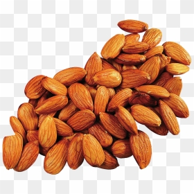 Apricot Kernel Almond Oil Food - Transparent Almonds, HD Png Download - almond png