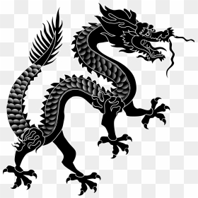 2000 X 2040 21 - Dragon Chinois Png, Transparent Png - dragon.png