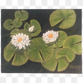 Drawing Chinese Water Lily - Sacred Lotus, HD Png Download - water lily png
