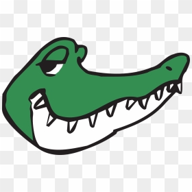 Cartoon Alligator Head, HD Png Download - gator png
