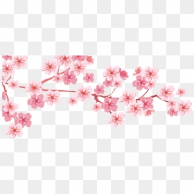 Almond , Png Download - Cherry Blossom Tree Branch Png, Transparent Png - almond png